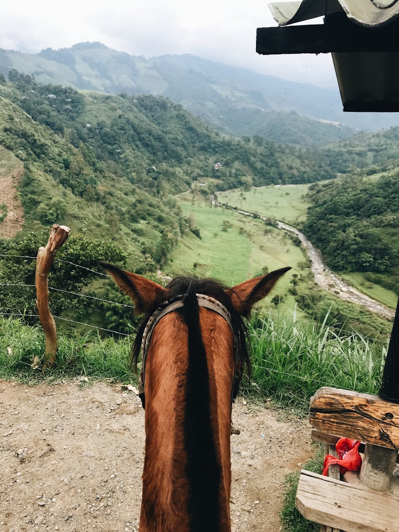 horseback adventures